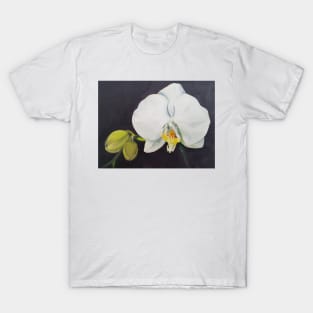 Phaelenopsis - moth orchid painting T-Shirt